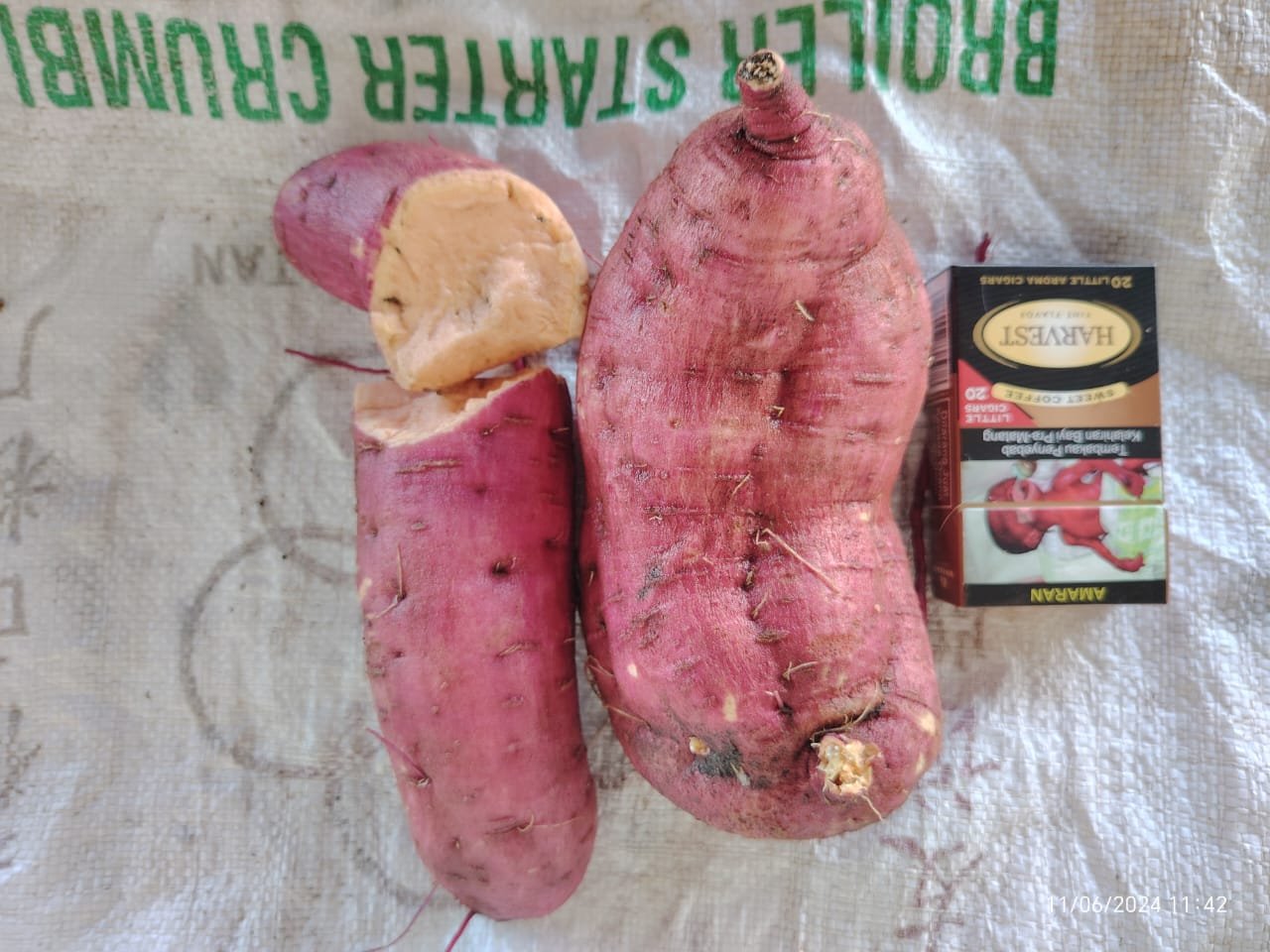 japanese-sweet-potato